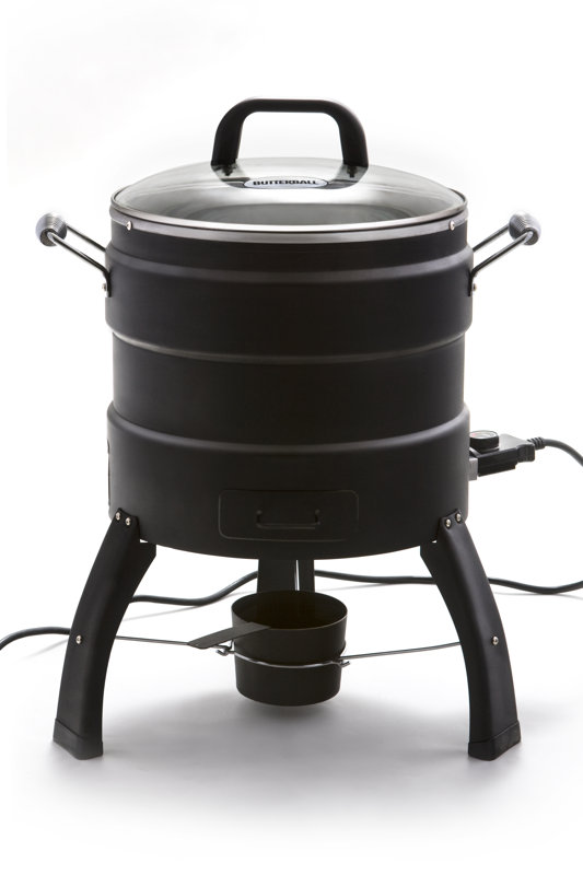 Masterbuilt Butterball Turkey Fryer & Reviews Wayfair